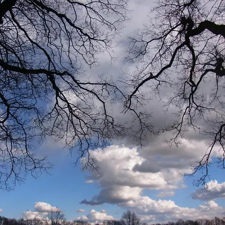 Blockhuette 35 Km Noerdlich Von Hamburg Langeln (Schleswig-Holstein)