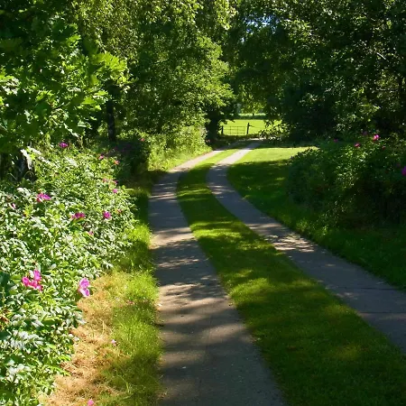 Blockhuette 35 Km Noerdlich Von Hamburg 펜션 Langeln (Schleswig-Holstein)