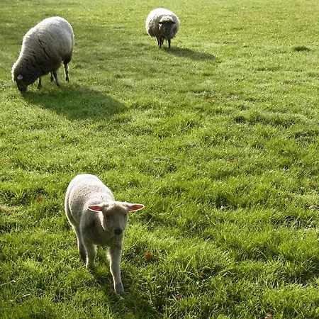 펜션 Blockhuette 35 Km Noerdlich Von Hamburg