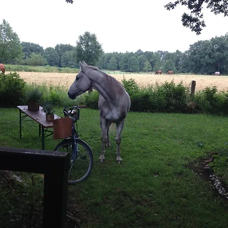 Blockhuette 35 Km Noerdlich Von Hamburg Feriehus *