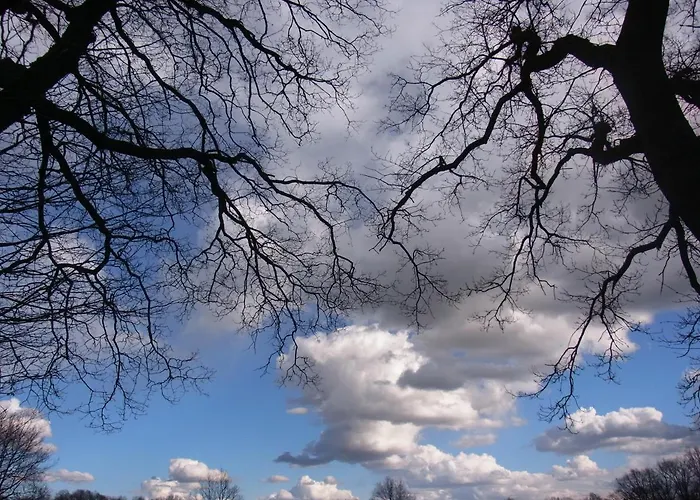 Blockhuette 35 Km Noerdlich Von Hamburg Langeln (Schleswig-Holstein)