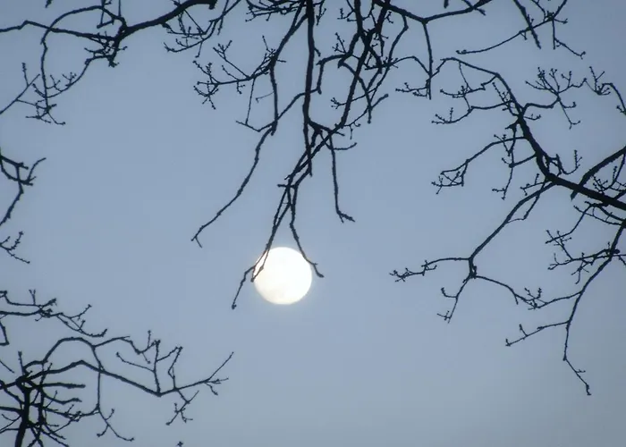 Blockhuette 35 Km Noerdlich Von Hamburg Langeln (Schleswig-Holstein)