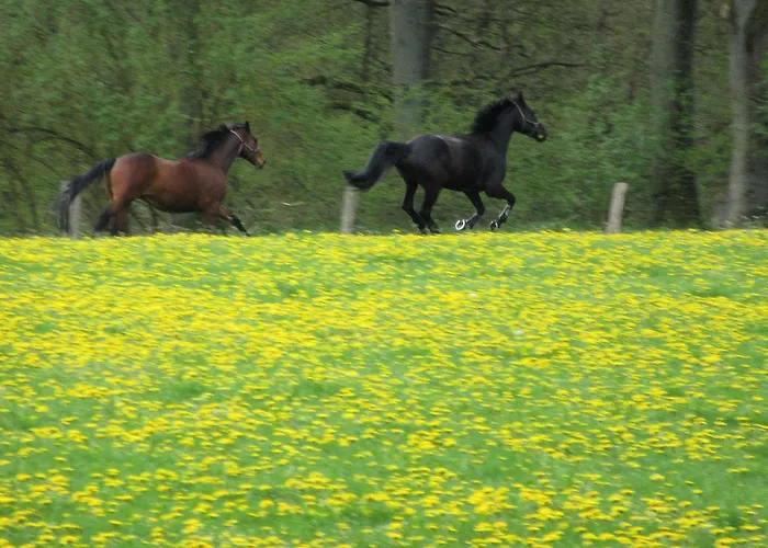Blockhuette 35 Km Noerdlich Von Hamburg Vakantiehuis