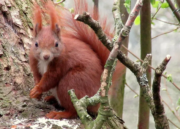 Blockhuette 35 Km Noerdlich Von Hamburg Vakantiehuis